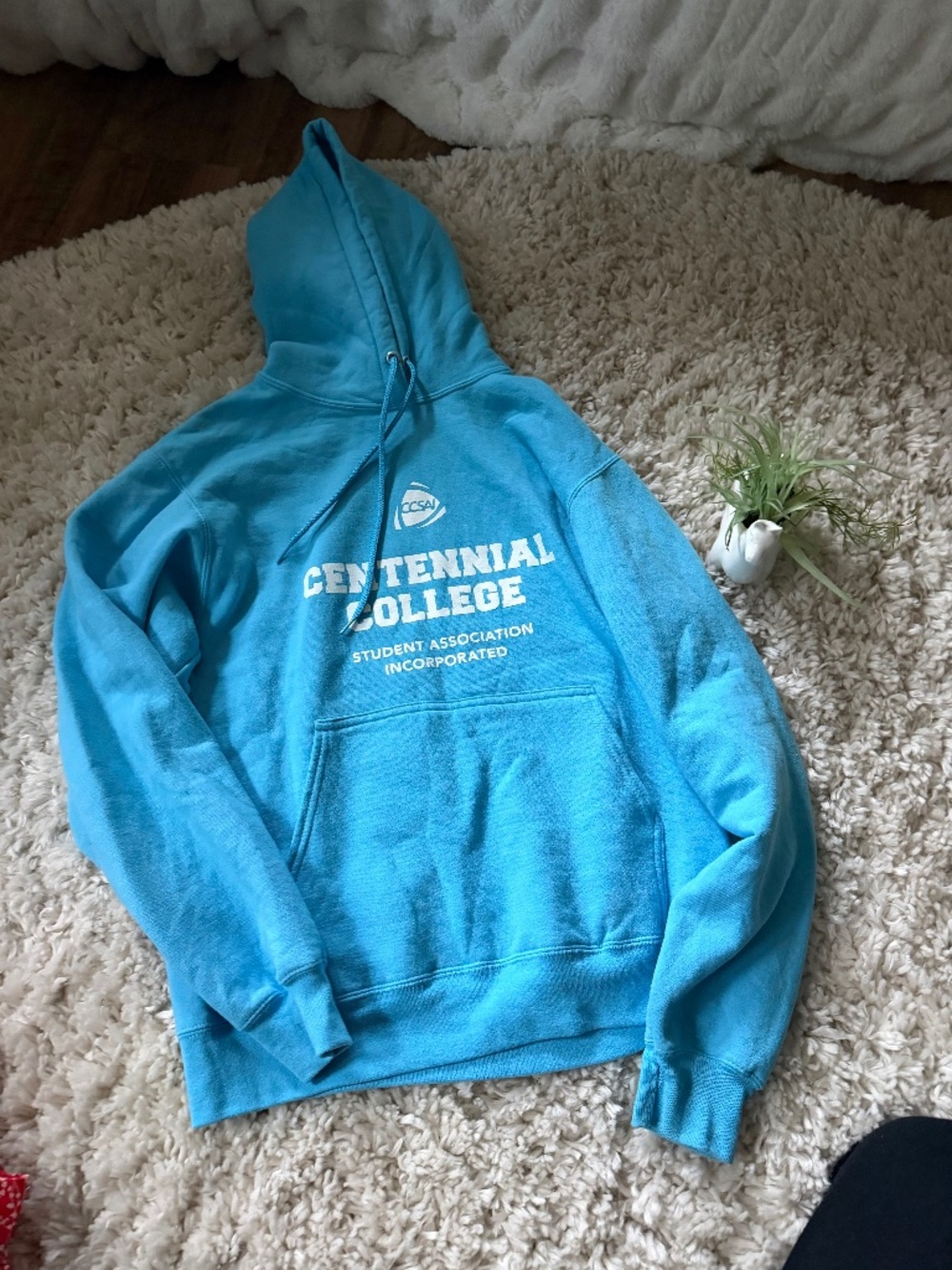 Soft teal Teal centennial College Hooded Sweatshirt with Student Association Log